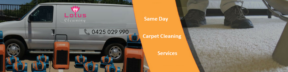 Dry Carpet Cleaning Box Hill North