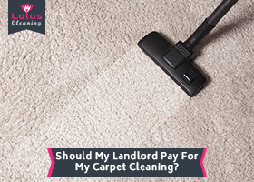 Should-My-Landlord-Pay-For-My-Carpet-Cleaning