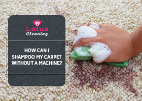 How-Can-I-Shampoo-my-Carpet-Without-a-Machine