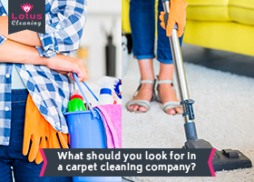 What-should-you-look-for-in-a-Carpet-Cleaning-Company
