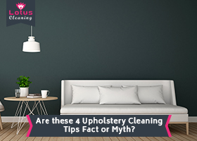 Are-these-4-Upholstery-Cleaning-Tips-Fact-or-Myth