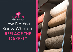How-Do-You-Know-When-to-Replace-Carpet