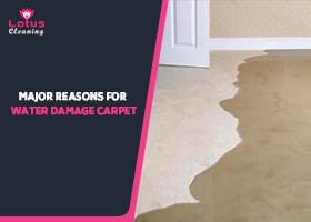 Major-Reasons-for-Water-Damage-Carpet