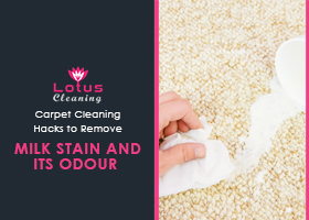 Carpet-Cleaning-Hacks-to-Remove-Milk-Stain-and-Its-Odour