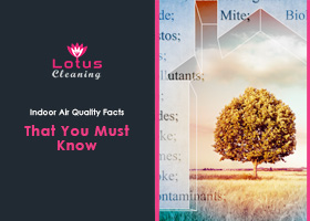 Indoor-Air-Quality-Facts-That-You-Must-Know