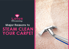 Major-Reasons-to-Steam-Clean-Your-Carpet