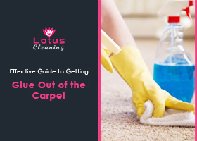 Effective-Guide-to-Getting-Glue-Out-of-the-Carpet