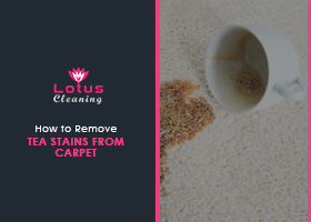 How-to-Get-Tea-Stains-Out-of-Carpet